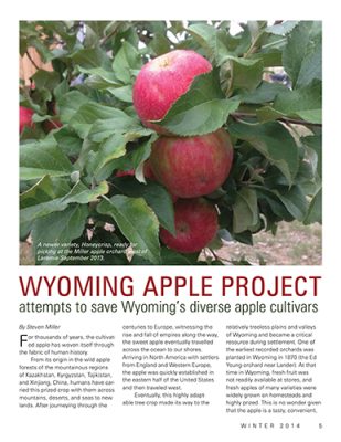 Wyoming-Apple-Project-500h