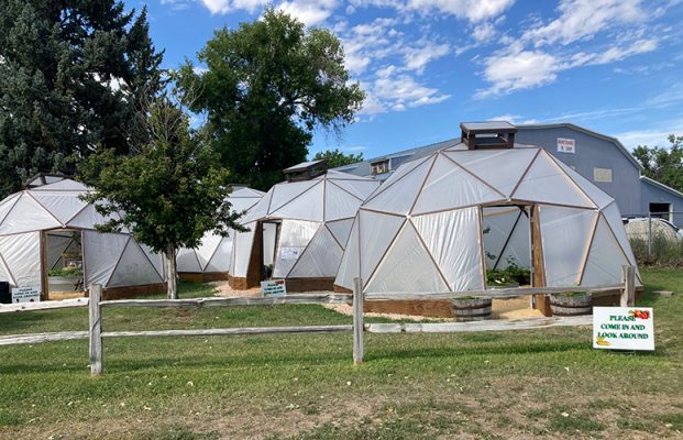 Geodome greenhouses