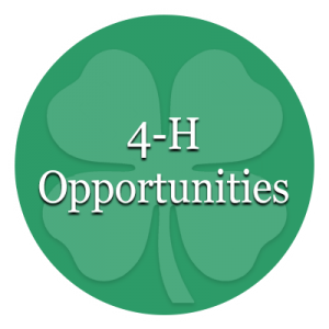 4-H Opportunities