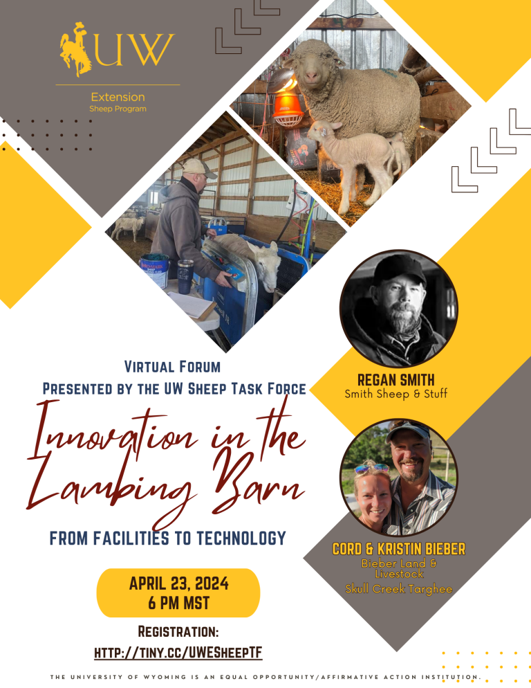 Virtual Forum presented by the UW Sheep task Force. Innovation in the lambing barn: From facilities to technology. April 23, 2024 at 6 pm