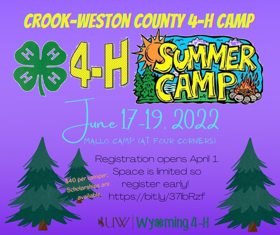 4-H Camp – Weston County