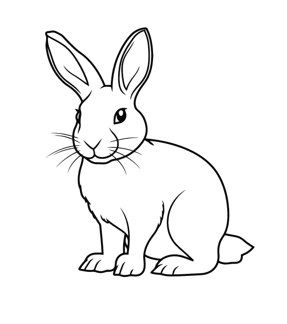 Rabbit Show – Weston County