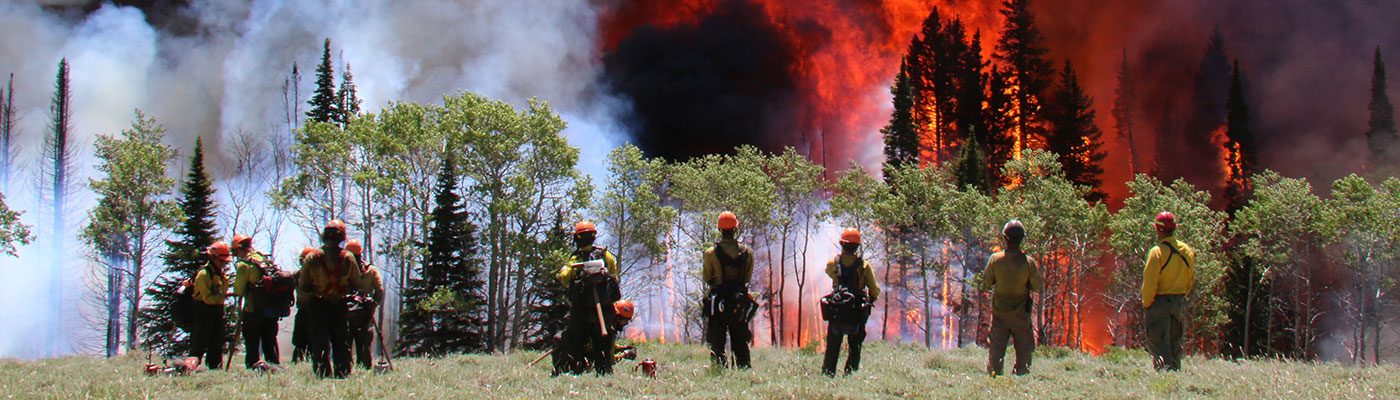 Wyoming Prescribed Fire Council